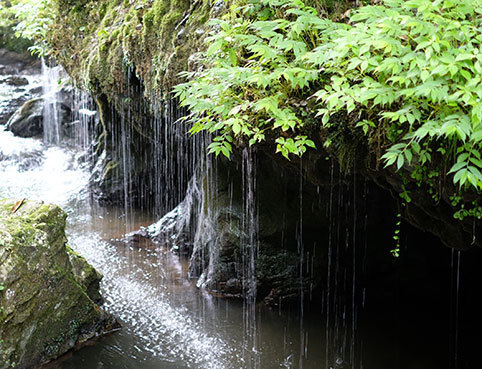 DSCF8183.jpg