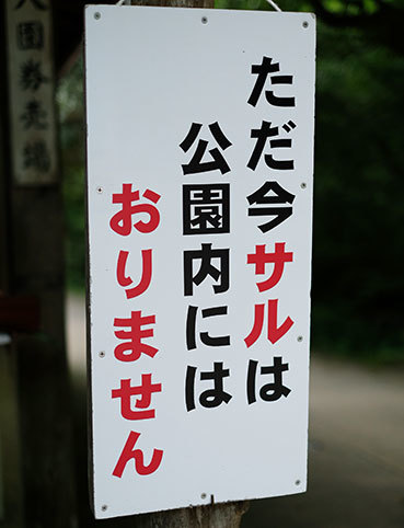 DSCF8184.jpg