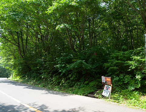 DSC_5016.jpg