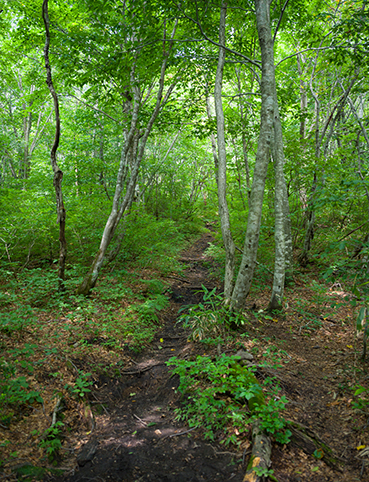 DSC_5023.jpg