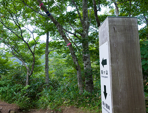 DSC_5033.jpg