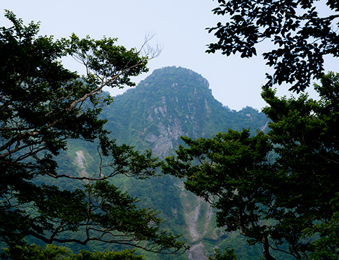 DSC_5036.jpg