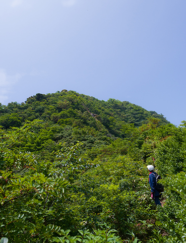 DSC_5047.jpg