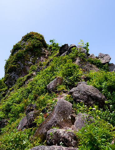 DSC_5056.jpg