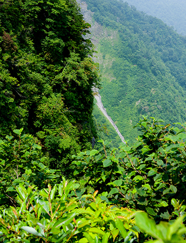 DSC_5060.jpg
