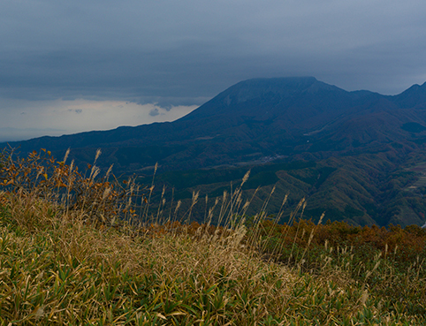 DSC_5593.jpg