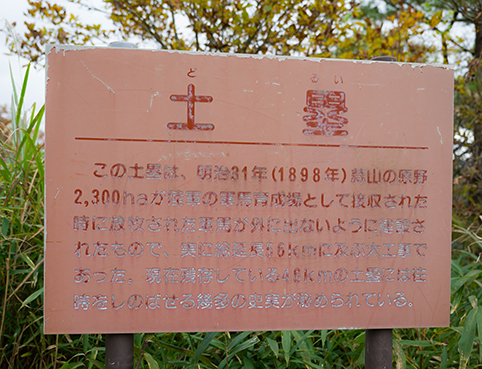 DSC_5597.jpg