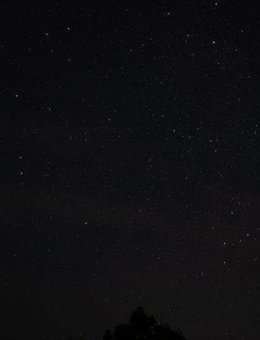 DSC_8080.jpg