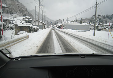 IMG_0390.jpg