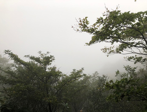 IMG_3956.jpg