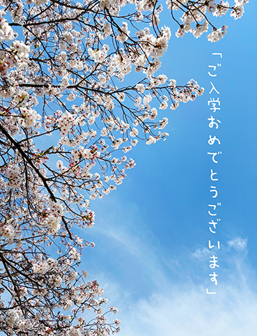 IMG_7429.jpg